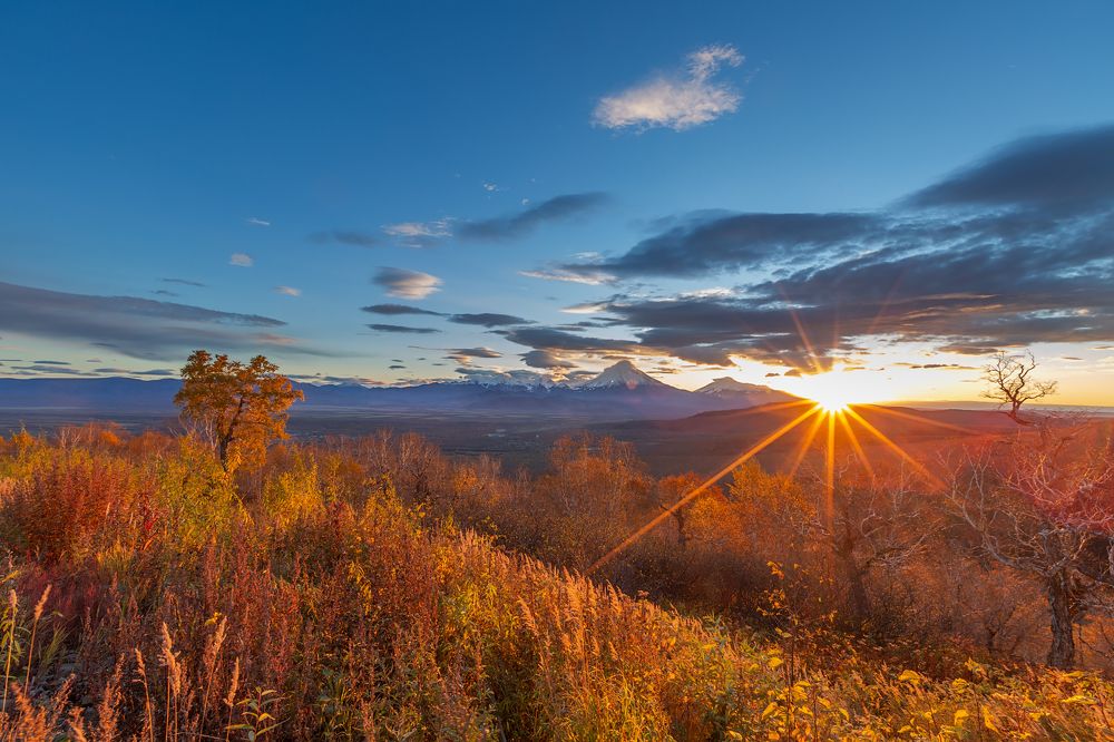 Photograph by Александр Максин