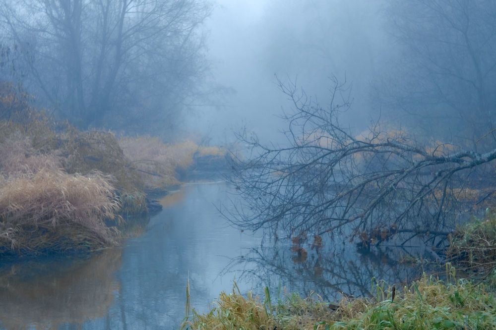 Photograph by Иван Бондаренко