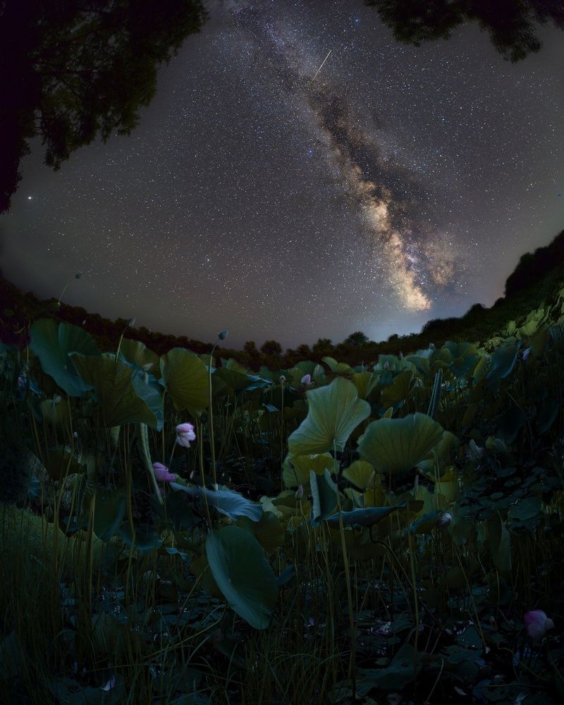 Photograph by Ольга Семисотова