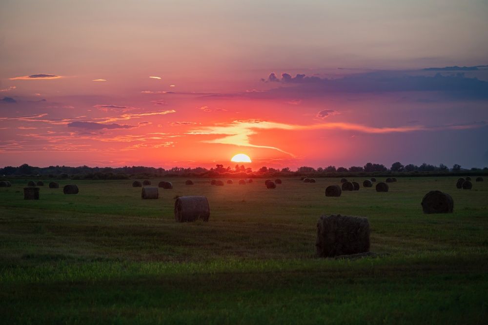 Photograph by Ольга Семисотова