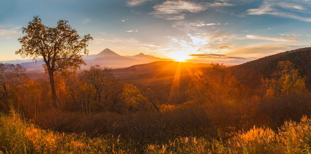 Photograph by Александр Максин