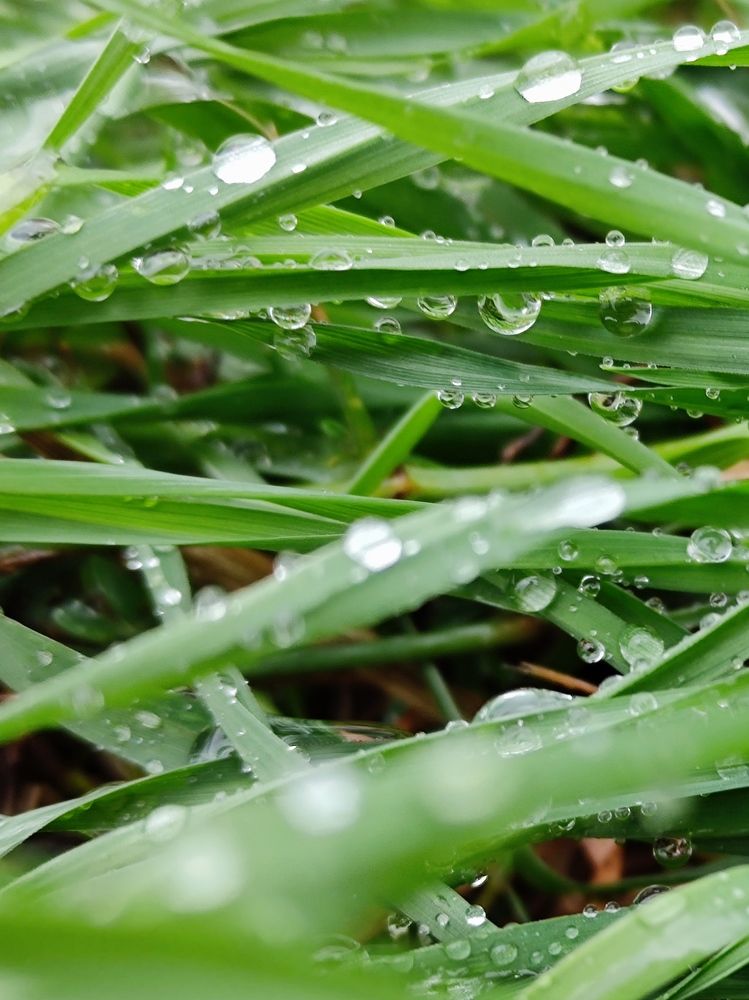 Photograph by Ирина Ященко