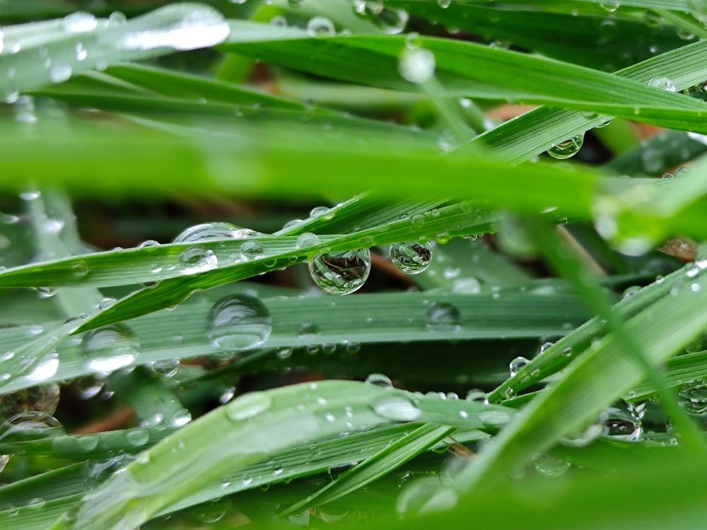 Photograph by Ирина Ященко