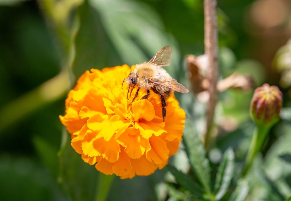 Photograph by Denis Phominov