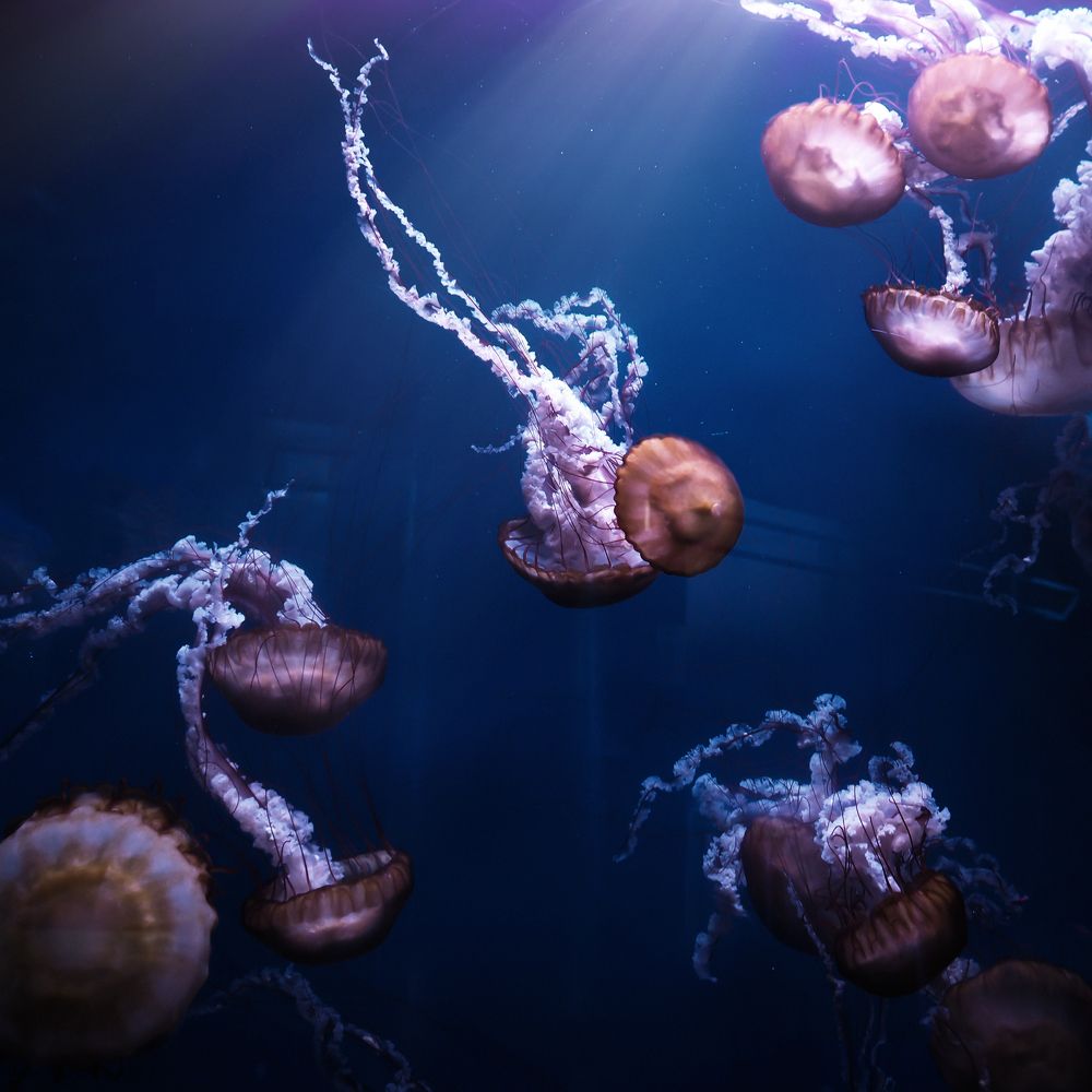 Photograph by Valeria Malinkina