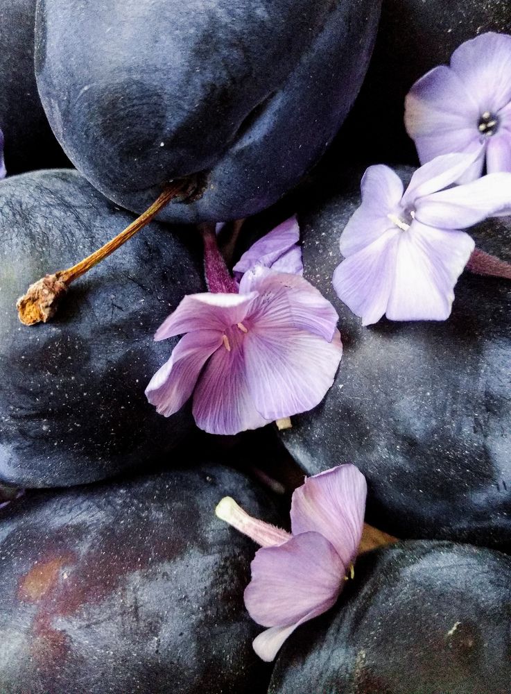 Photograph by Наталья Трофимова