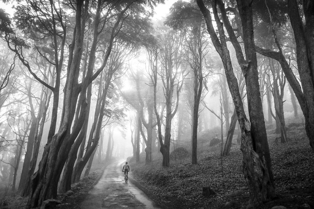 Photograph by Bruno Vicente