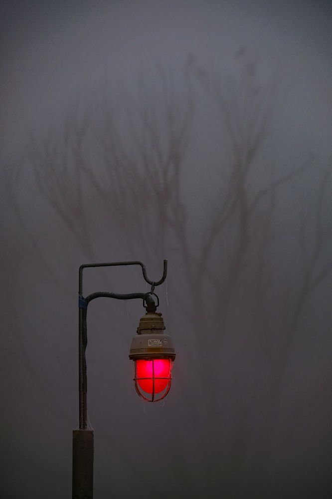 Фотография автора Александр Высоцкий