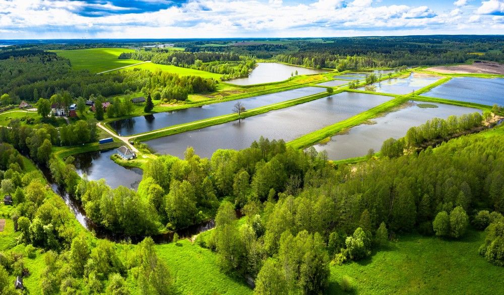 Photograph by Андрей Валерьевич