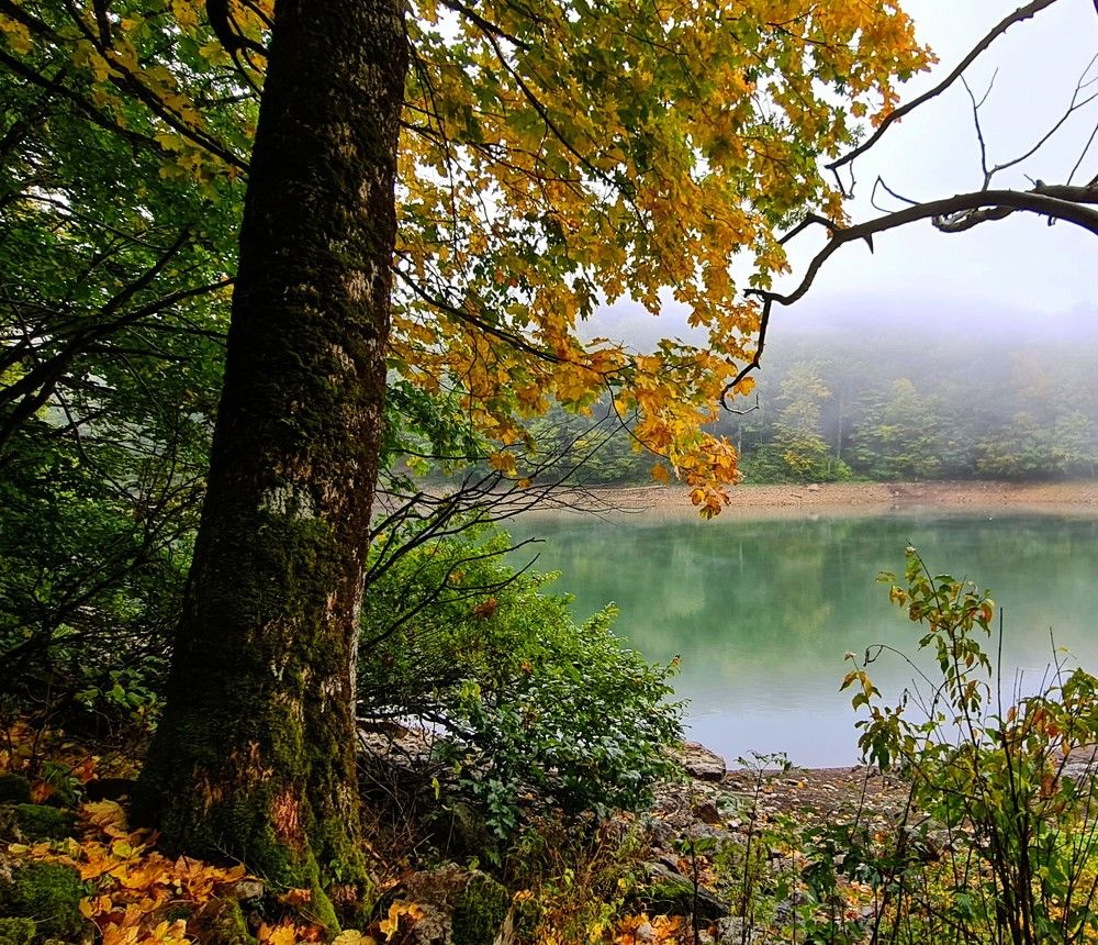 Фотография автора Larisa Tabachnik