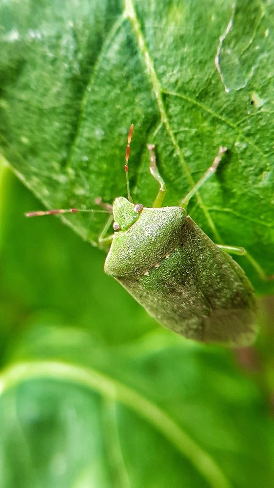 Photograph by Татьяна Григорчук