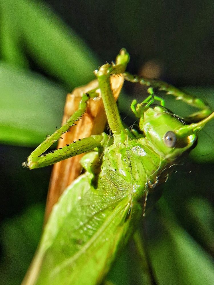 Photograph by Татьяна Григорчук