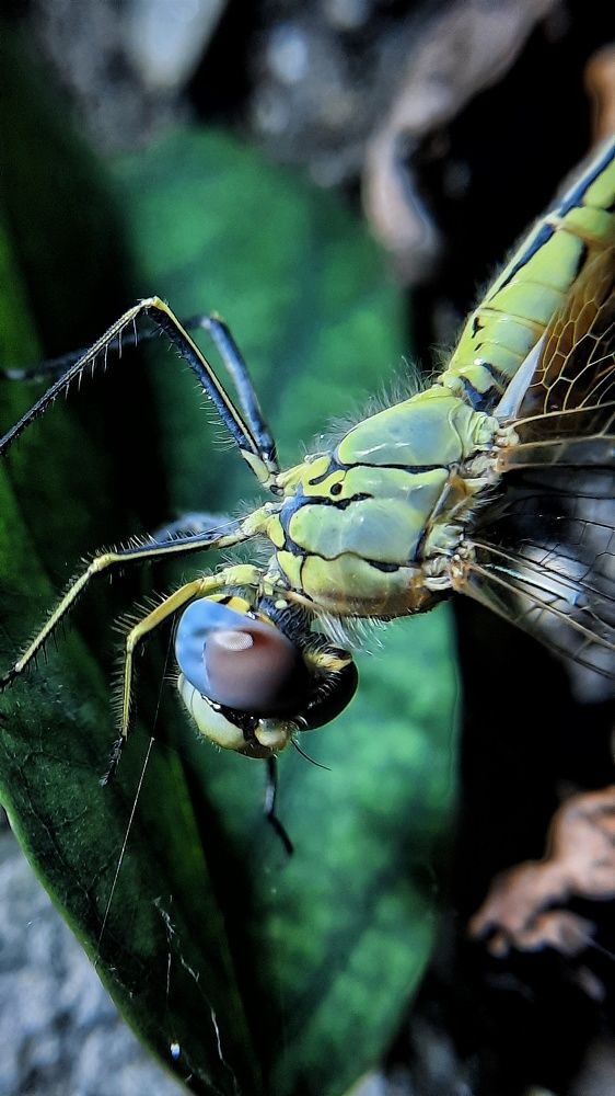 Photograph by Татьяна Григорчук