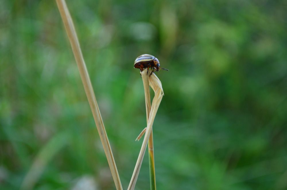 Photograph by Дарья Миронова