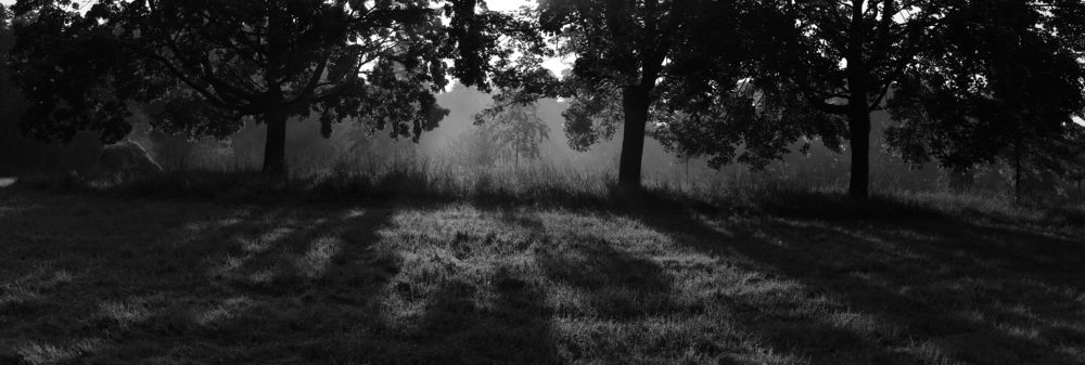 Photograph by Robert Chiorbeja