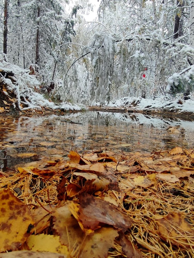 Photograph by Юлия Гинтер