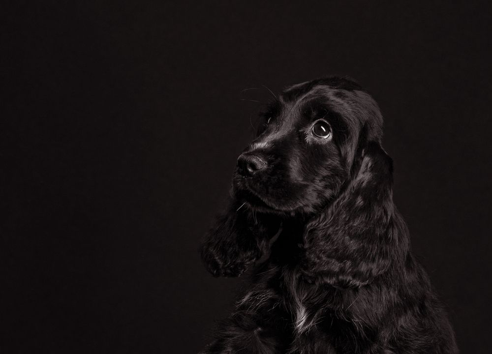 Photograph by наталья залогина