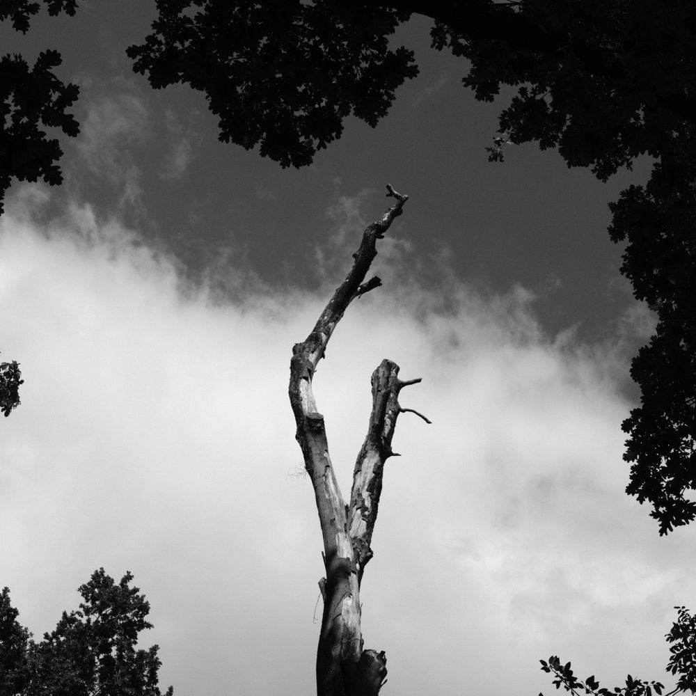 Photograph by Robert Chiorbeja