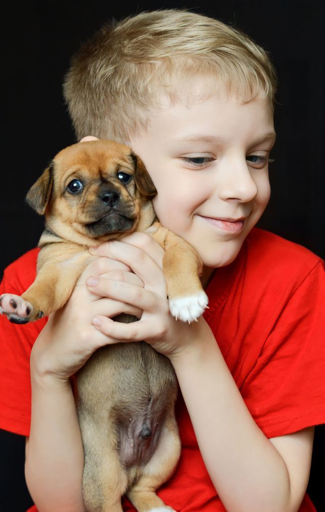 Photograph by Елена Квасова