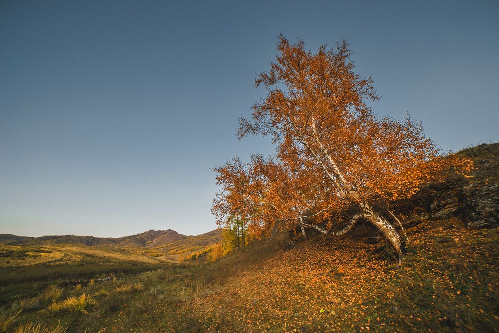 Фотография автора Горбачёва Юлия