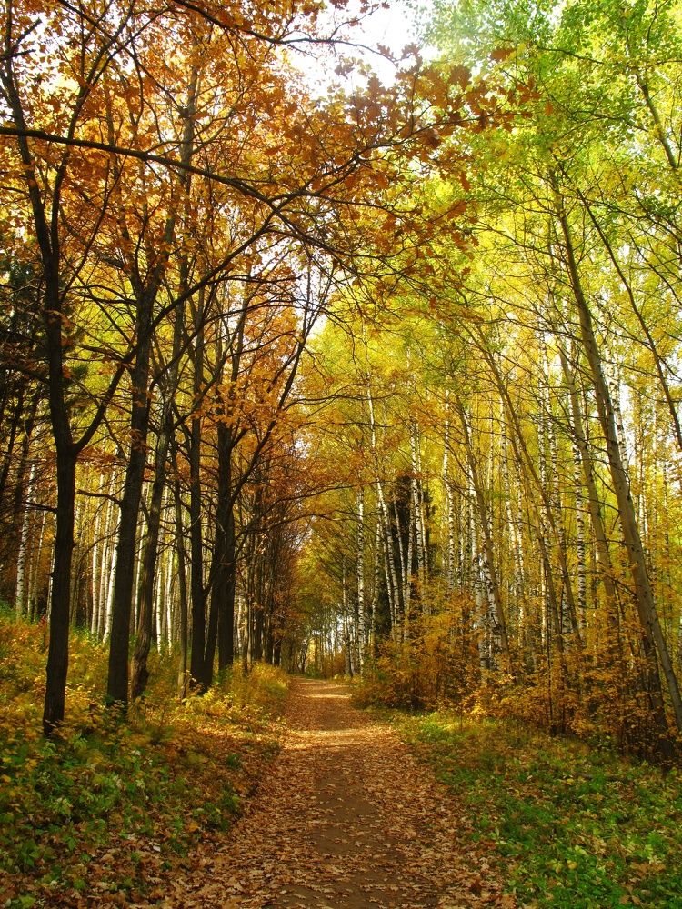 Фотография автора Тамара Караваева