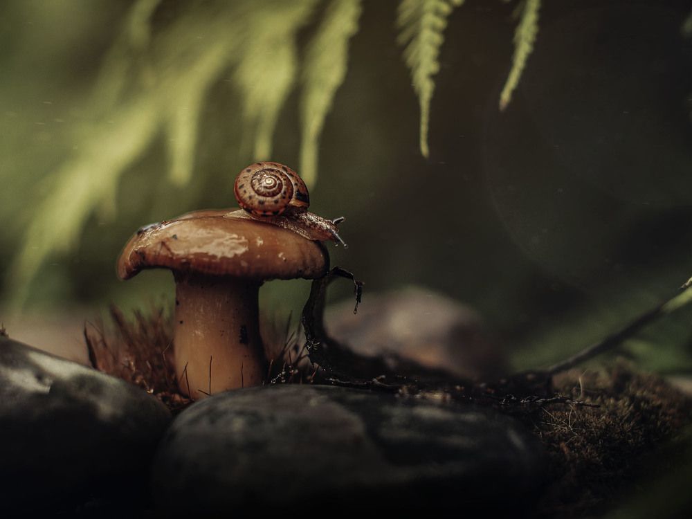 Photograph by Rogozina Olga