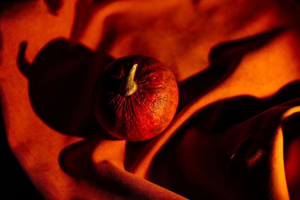 Photograph by Татьяна Овчинникова