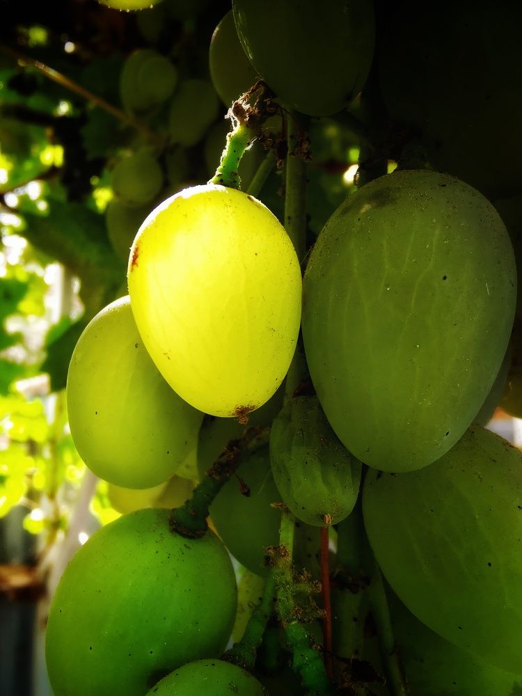 Photograph by Елена Артёменко