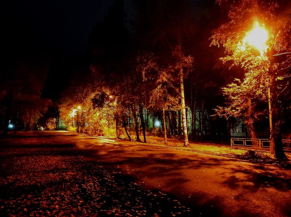 Photograph by Ирина Саттарова