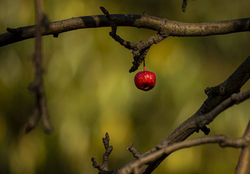 Photograph by Юлия Куликова