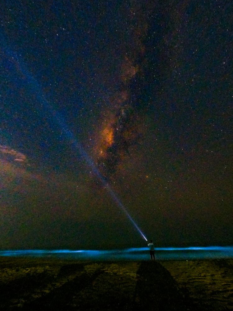 Photograph by Nivedh A.M