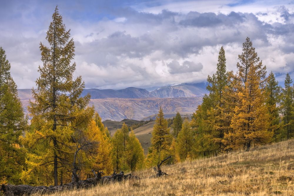 Photograph by Ярослав Лукьянов