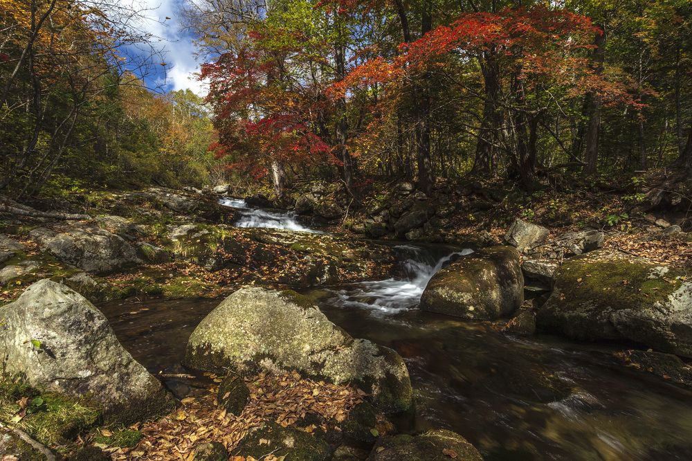 Photograph by ALEKSANDR KUZNETSOV