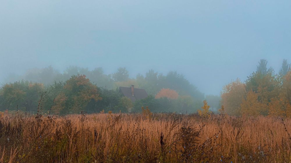 Photograph by Мария Сазонова