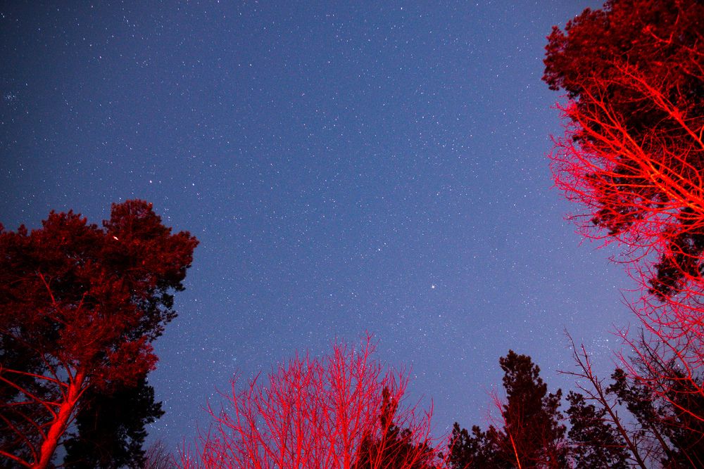 Photograph by Михаил Володин