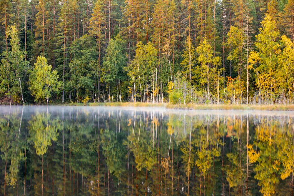 Photograph by Константин Шатилов