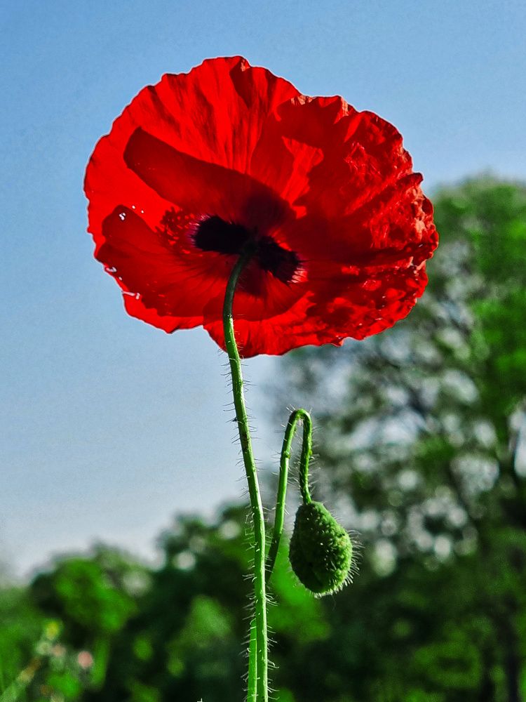 Photograph by Сергей Кесаев