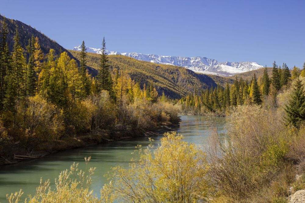 Photograph by Елена Павлова