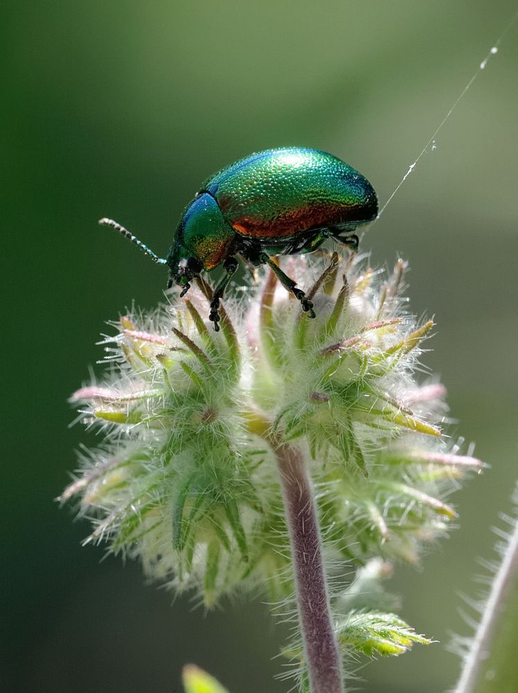 Photograph by Александр Голиков