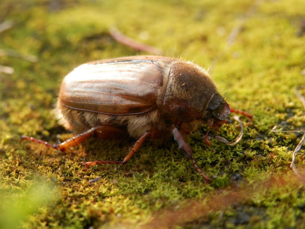 Photograph by Георгий Салюков