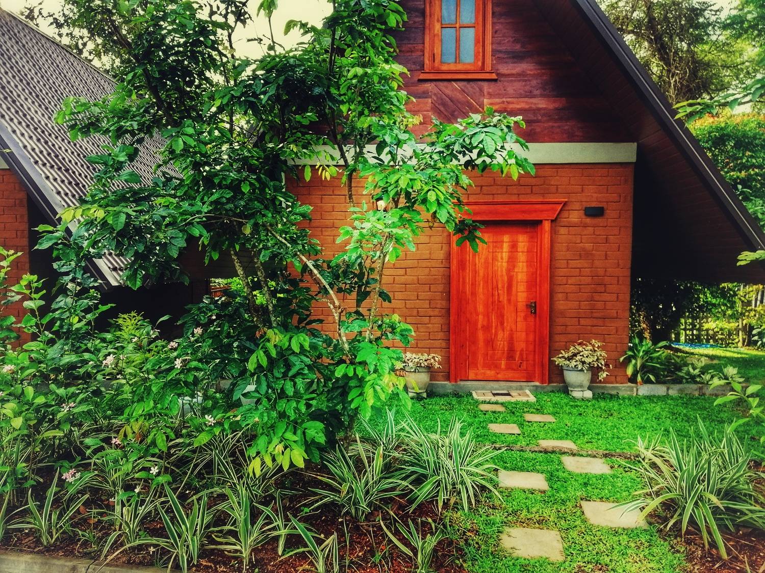 Photo #8103058