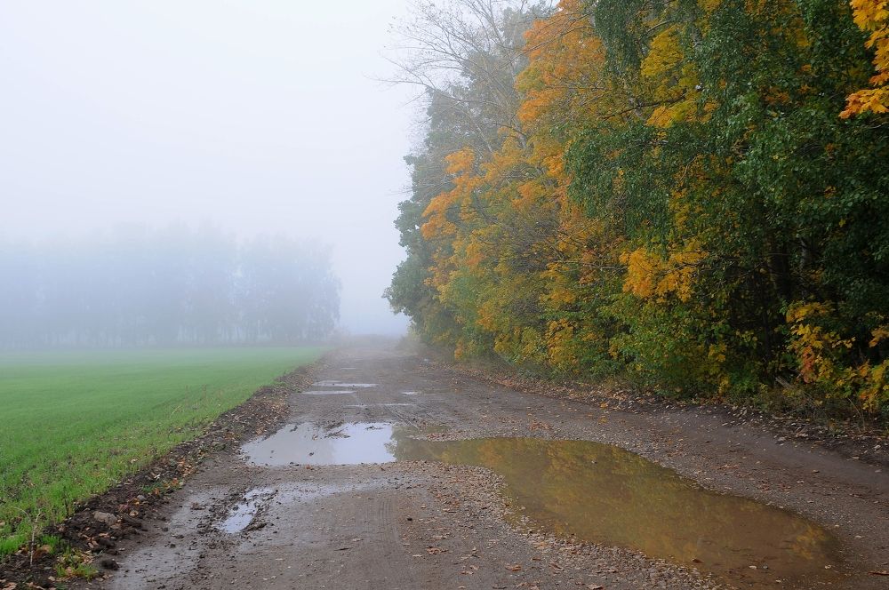 Photograph by Владимир