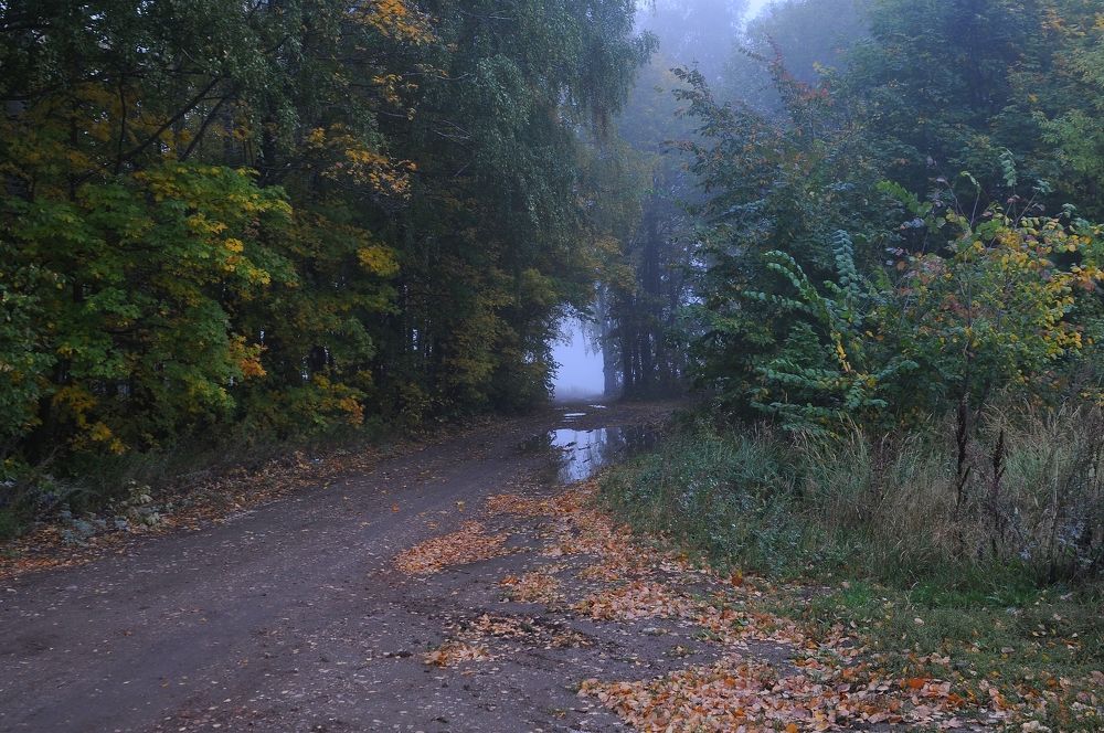 Photograph by Владимир