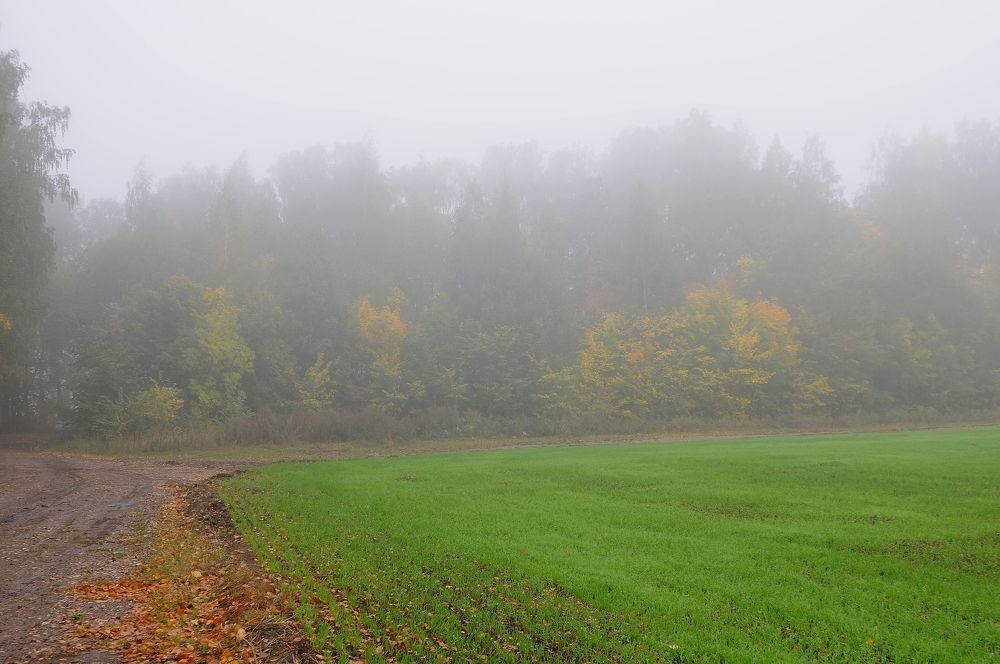 Photograph by Владимир