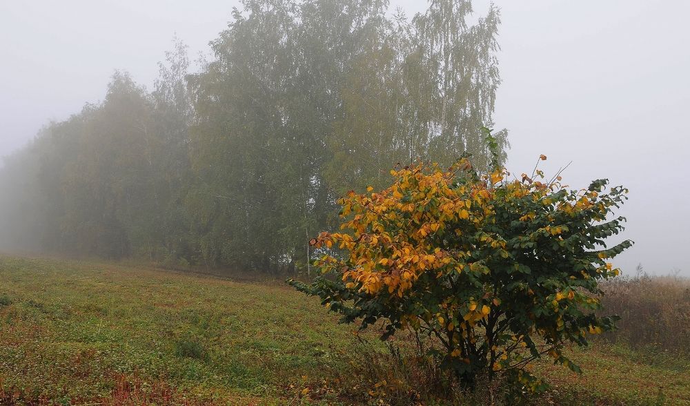 Photograph by Владимир