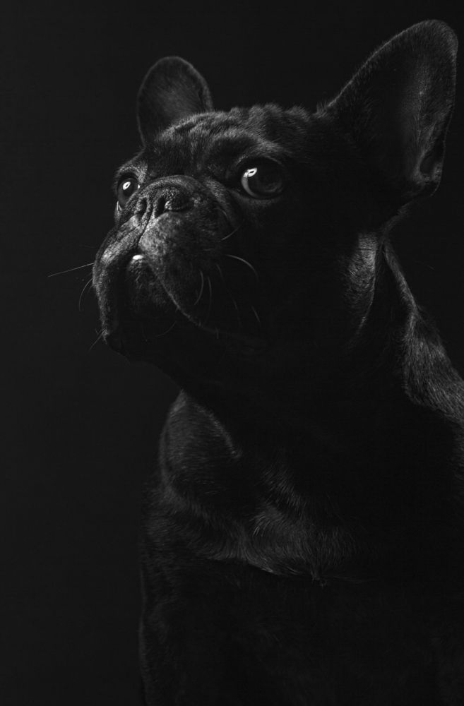 Photograph by Анна Васильева