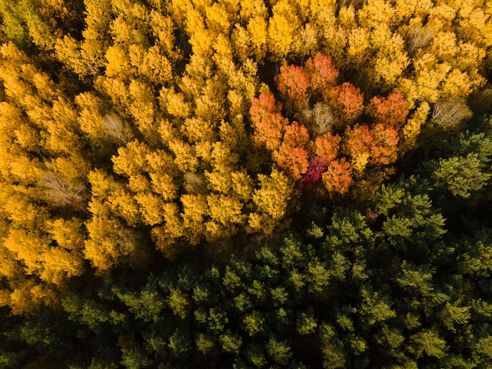 Photograph by Анна Майорова