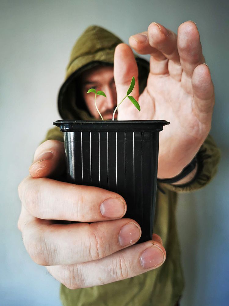 Фотография автора Наталья