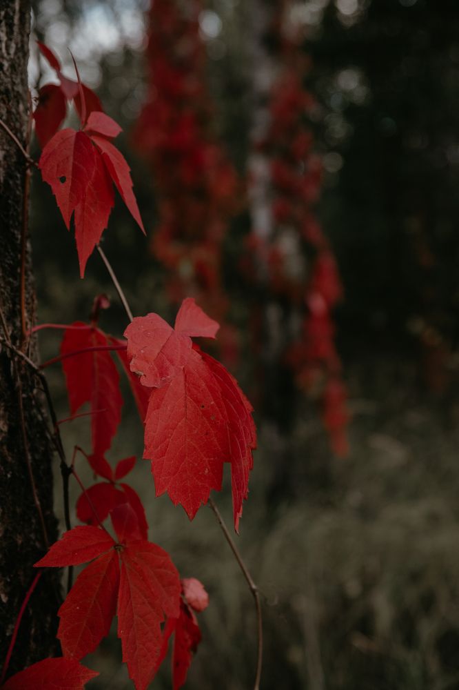 Фотография автора Лукашенко Ольга