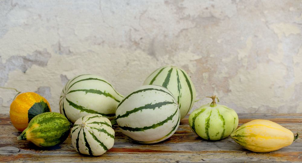 Фотография автора Alena Makushina